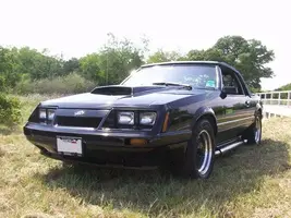 mustang-LF.webp