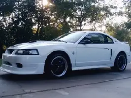 car pic.webp