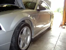 mustang.webp