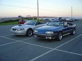 mustang1.webp