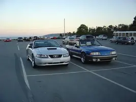 mustang2.webp