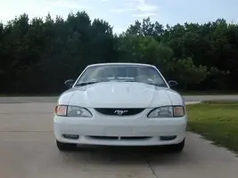 Stang.webp