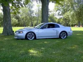 pic2.webp