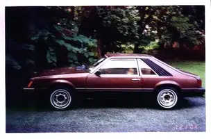 mustang.webp