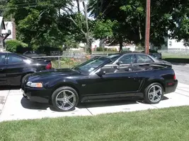 ChromeSaleen.webp