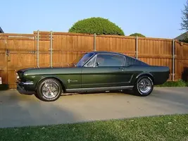 Fastback Side (3).webp