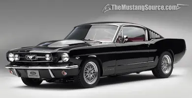 Mustang.webp