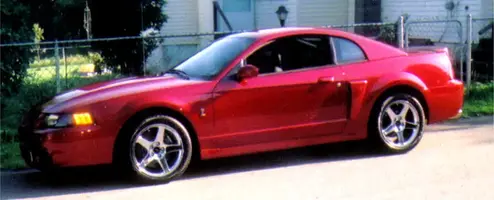 cobra2.webp