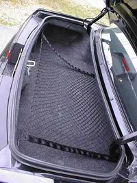 aaa-trunkcarp.webp