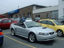newmustang1.webp