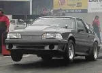 perky150.webp