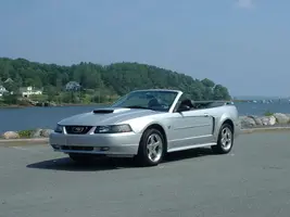 stang mahone Baylow.webp