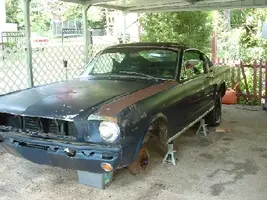 mustang small.webp