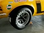 Rims.webp