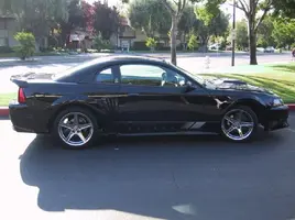 Saleen 1.webp
