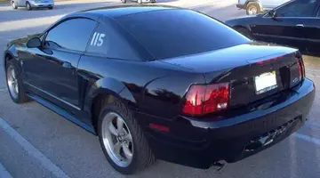 BlackBeauty.webp