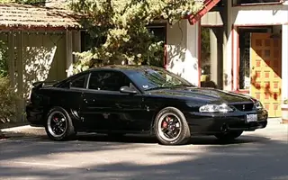 Cobra resized.webp