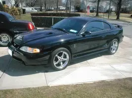 cobra2.webp
