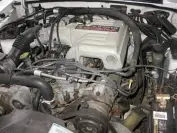 DSCN4338.webp