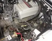 DSCN4340.webp