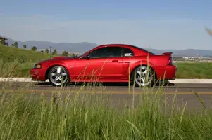 gt2.webp