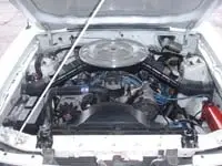 nos hatch 6.webp