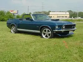 69'-cobra-vert-sm.webp