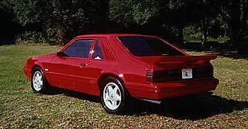 mustang1.webp