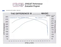 dyno3.webp
