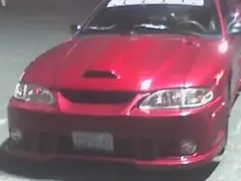 stupid stang 1.webp