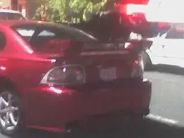 stupid stang 2.webp