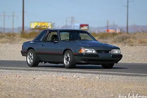 spring mountain mustang 2.webp