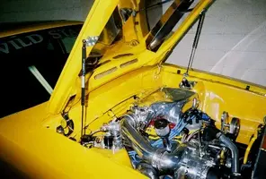 mustang11.webp