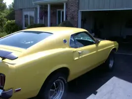 mustang.webp