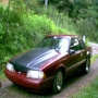 stang.webp