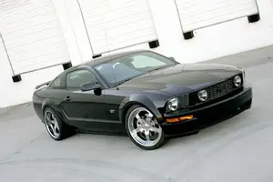 stang1.webp