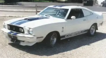 cobra.webp