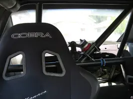 cobra 2.webp