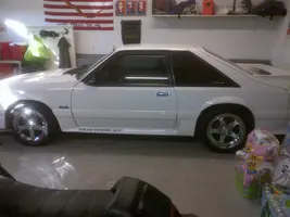 IMG-20111211-00054.webp