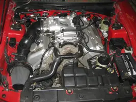 mustang 006.webp