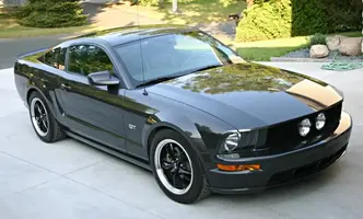 Mustang 1.webp