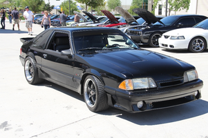 blackstang.webp