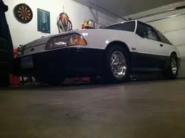 stang13.webp