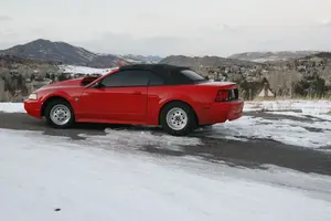 Mustang in Janary.webp