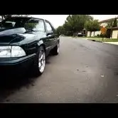 mustang4.webp