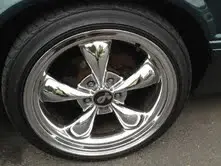 mustang 6.webp