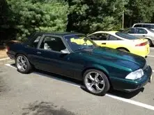 mustang2.webp