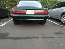 mustang1.webp