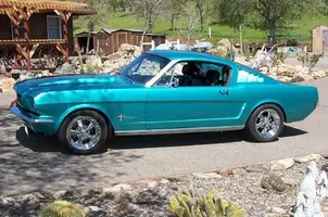 Fastback.webp