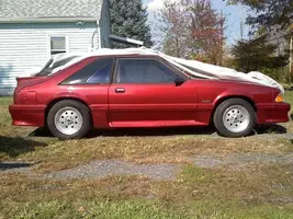 mustang.webp